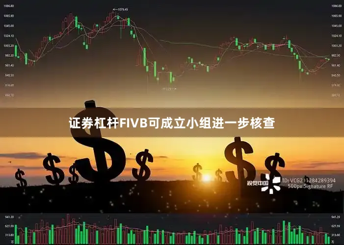 证券杠杆FIVB可成立小组进一步核查